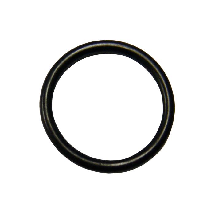O-ring
